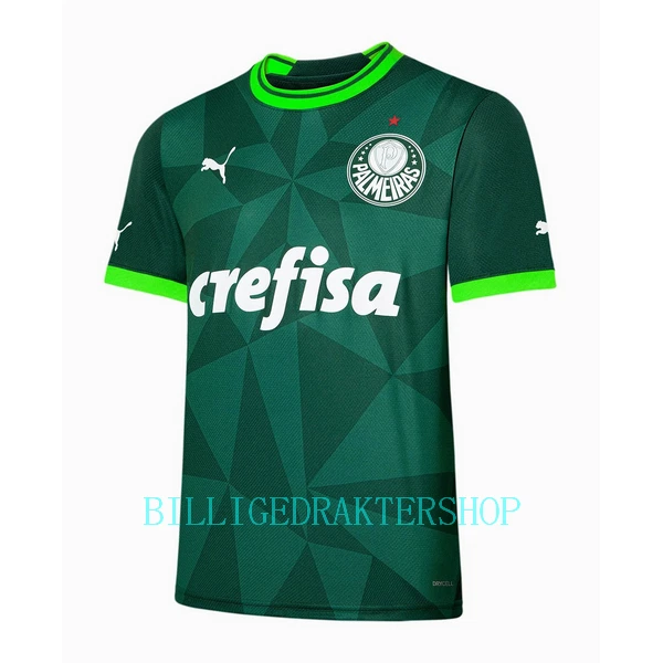 Palmeiras Hjemmetrøye 2023/2024