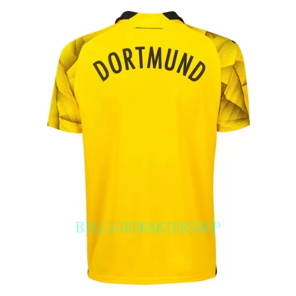 Borussia Dortmund Cup Trøye 2023/2024