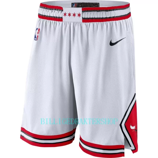 Chicago Bulls NBA Shorts Association Edition Swingman