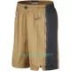 Toronto Raptors NBA Shorts City Edition Swingman